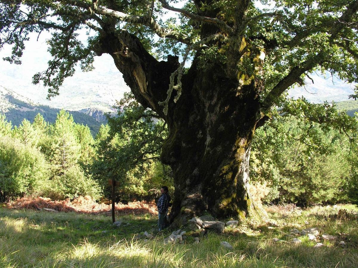 Hotel Paradiso Delle Madonie Castelbuono  Zewnętrze zdjęcie